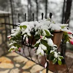 Kulla E Arte 3* Razëm