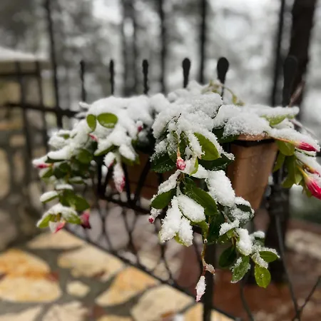 Kulla E Arte 3* Razëm