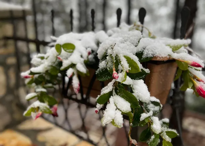 Kulla E Arte 3* Razem